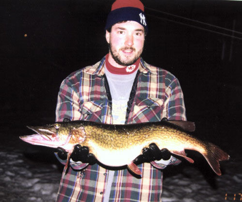 Chain Pickerel